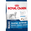 Royal Canin MAXI Junior ACTIVE